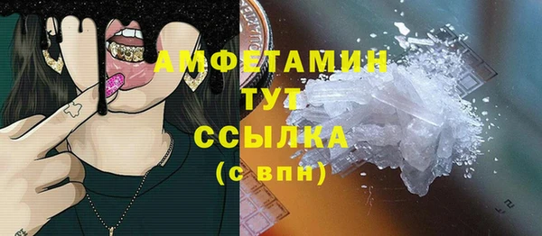 шишки Медногорск