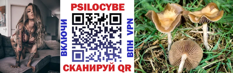 Псилоцибиновые грибы Magic Shrooms  купить закладку  Онега 